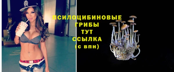 хмурый Зеленодольск