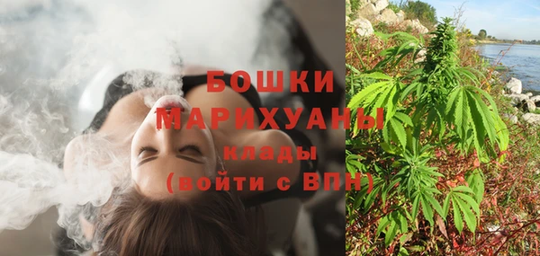 молекула духа Заволжье