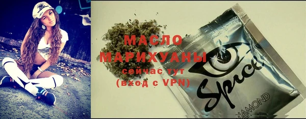 молекула духа Заволжье